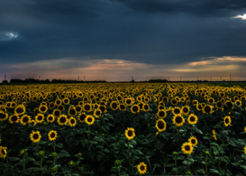 У День пам’яті захисників СКУ закликає світ стояти з Україною
