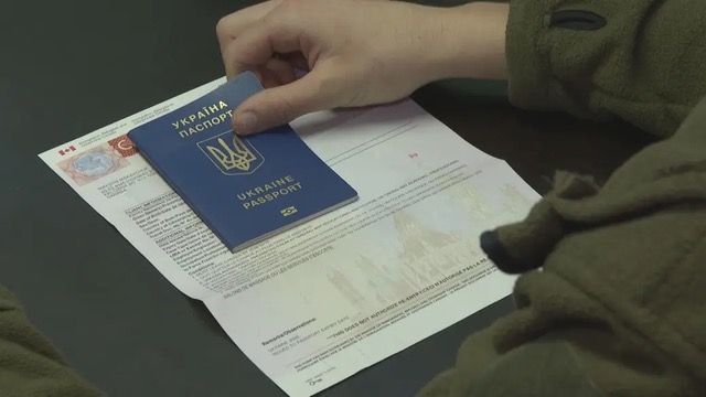 Безкоштовна юридична допомога українцям у Канаді: чотири роки роботи гарячої лінії Pro Bono Ontario